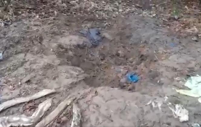Szokujące odkrycie w Tarnowie Podgórnym! W czarnym worku było osiem węży! Policja szuka zabójcy