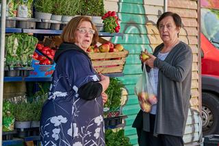 Na Wspólnej odc. 3673: Helena Kopeć (Małgorzata Peczyńska), ekspedientka (Nelly Sozańska)