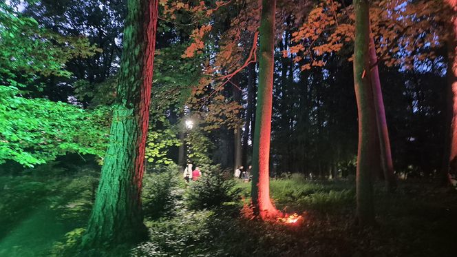 Olsztyn zamienił się w magiczną krainę. Park Świateł przyciągnął tłumy!