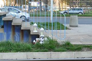 Białe aniołki przy torach. Tu pod tramwajem zginął czterolatek