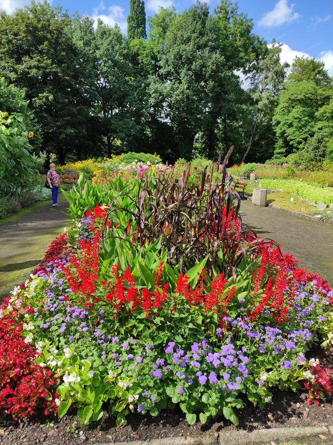 Miejski Ogród Botaniczny w Zabrzu