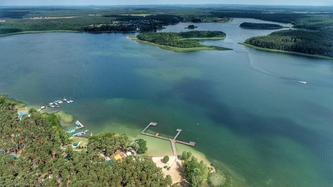 Kormoran nad jeziorem Niesłysz w Lubuskiem zaprasza turystów. Zobacz na te przepiękne zdjęcia 