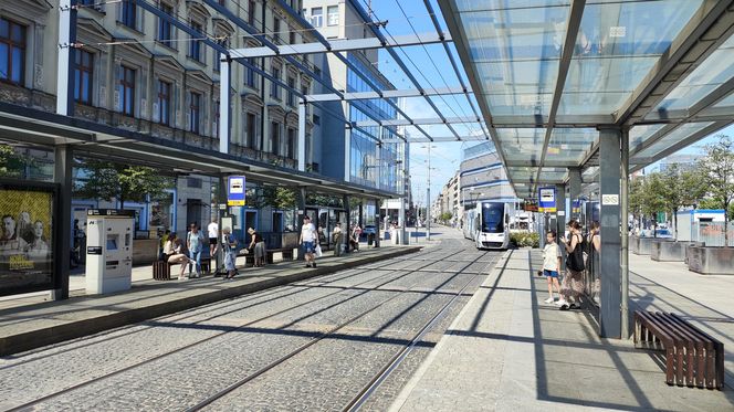 Katowice jak patelnia. Obowiązuje ruch cieniostronny. Nawet gołębie chowają się w cieniu