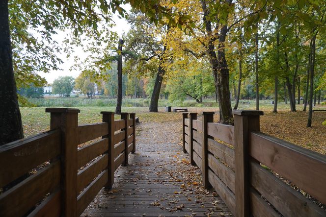 Park Lubomirskich w Białymstoku jesienią 