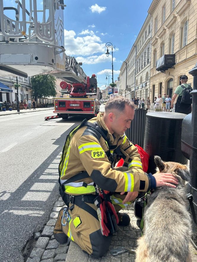 Niezwykła akcja strażaków na Nowym Świecie. Pies hasał po dachu kamienicy