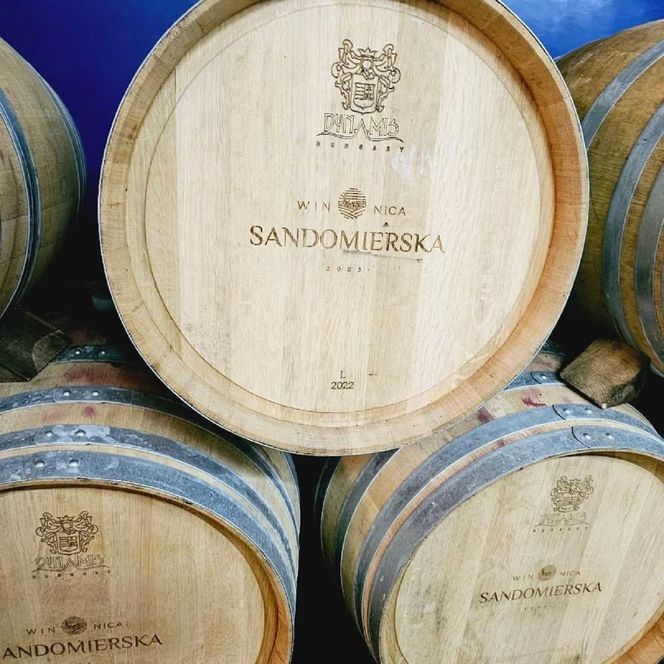 Winobranie w Świętokrzyskiem