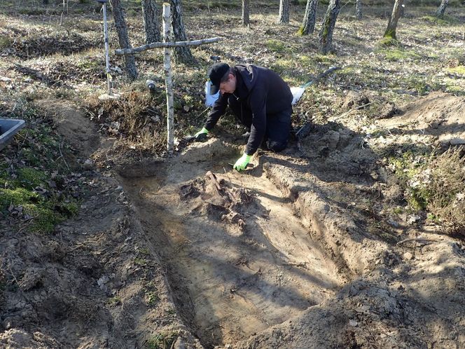 Ludzkie szczątki przy torach pod Świeciem! Tajemnica grobu w końcu wyszła na jaw