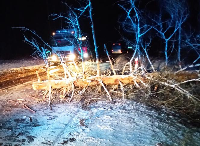 Wichura w Podlaskiem. 9 tys. odbiorców bez prądu, sporo interwencji strażaków [ZDJĘCIA]