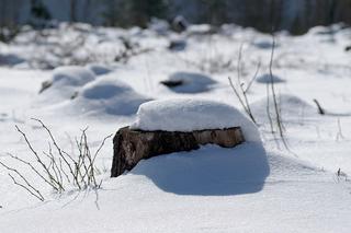 Śnieg zostanie w Olsztynie na dłużej? Co mówią prognozy?