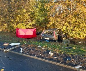 Tragiczny wypadek na DK 15 po Mogilnem. Nie żyje jedna osoba!