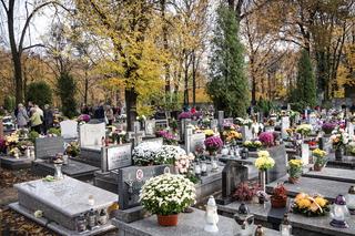 Wyszukiwarka grobów w Kaliszu. Jak zapalić wirtualny znicz? [WSZYSTKICH ŚWIĘTYCH 2020]