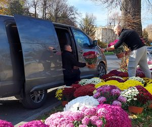 Przygotowania do Wszystkich Świętych Zamość