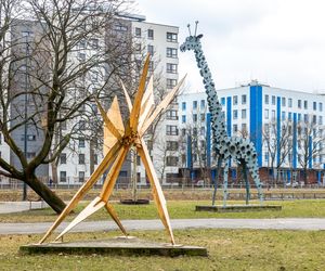 Galeria samochodowa w Warszawie na Woli