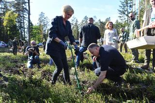 W Suchedniowie para prezydencka sadziła las. Na potrzeby uroczystości... wycięto drzewa?