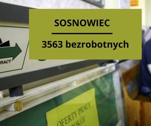 Gdzie jest najwięcej zarejestrowanych bezrobotnych? LISTA MIAST 