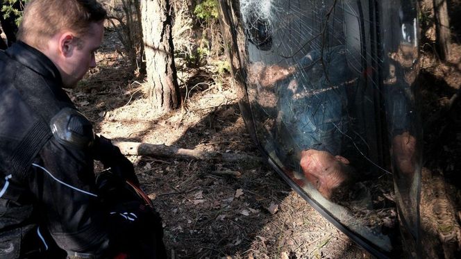 M jak miłość odc. 1875. Dominik Walat (Bartosz Surówka), Paweł (Rafał Mroczek)