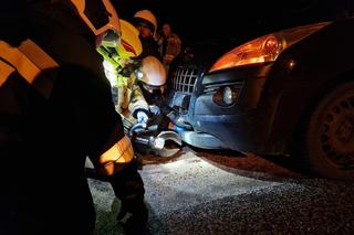Potrącony przez samochód pies zakleszczył się w zderzaku