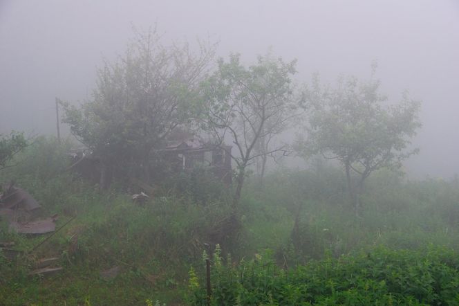 Tajemnicza choroba zabija mieszkańców wioski.  Ludzie boją się jeść i pić