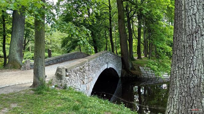 To najstarsze uzdrowisko w Polsce. Cieplice Śląskie - Zdrój przyciągają kuracjuszy od XIII wieku