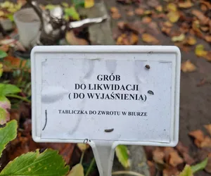 Tysiące grobów do likwidacji! Szok i oburzenie na cmentarzach. Zapłacę z pieniędzy odłożonych na własny pogrzeb