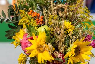 Bukiet na Matki Boskiej Zielnej