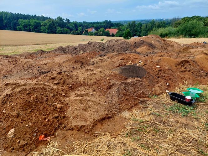 W Pniu pod Bydgsozczą znaleziono nietypowy grób niemowlęcia z XVII w. Ktoś włoźył tam ozdobę w kształcie kwiatka