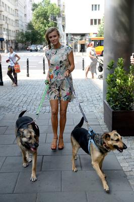 Joanna Krupa chce pomóc psom!