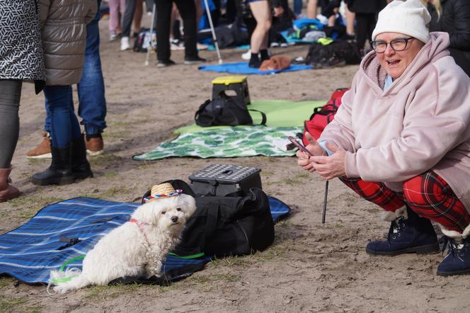 Bydgoskie Morsy wskoczyły do jeziora w Pieckach! 