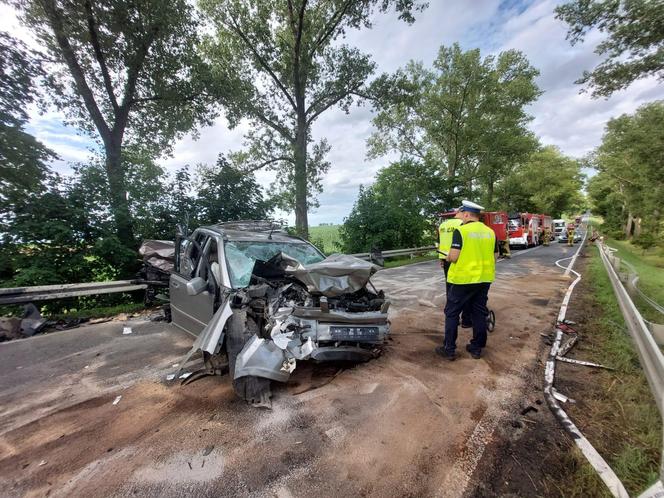 Wypadek na DK 38 w Ucieszkowie. Cztery osoby zostały poszkodowane