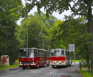 Słynny Ikarus wraca do Wrocławia. Sprawdź trasę przejazdu 