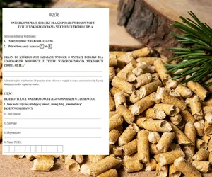 Wniosek o dodatek do pelletu 3000 zł - wzór wniosku do pobrania.  Jak go wypełnić i gdzie złożyć?