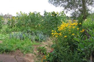 Gleba i nawozy w ogrodzie biodynamicznym