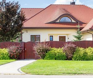 Rośliny na żywopłoty