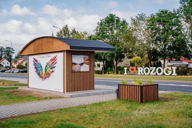 Takiej inicjatywy w Polsce jeszcze nie było. W tej gminie na Mazurach przystanki są jak dzieła sztuki
