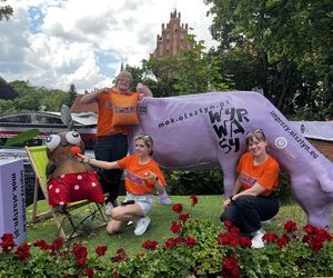 Tłumy przyjezdnych i uśmiechy na twarzach. Wakacyjny patrol Eska Summer City na olsztyńskiej Starówce