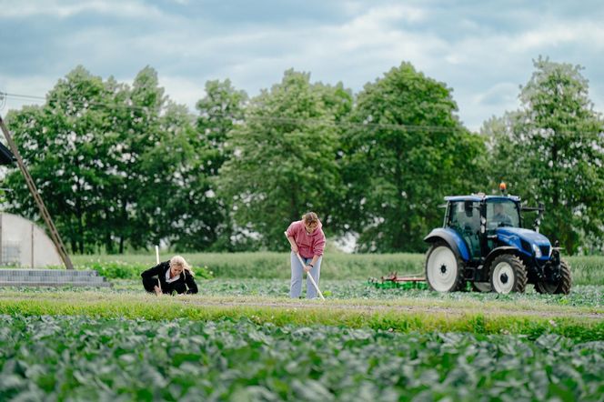 "Rolnik szuka żony"