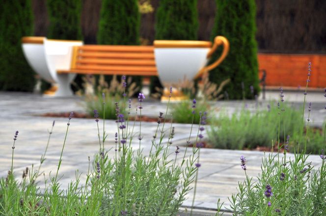 Ławki w kształcie filiżanek w okolicy rynku