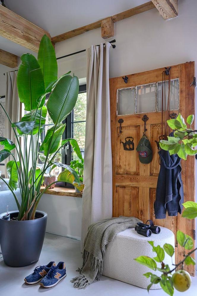 Metamorfoza siedliska na Mazurach