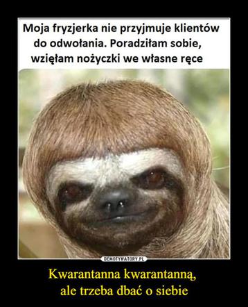 Fryzjerzy kontra koronawirus. Te memy bawią do łez