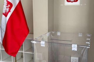 Gwiazdy sportu na wyborach 