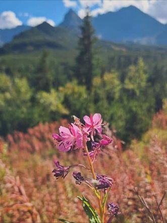Tatry jesienią 2025