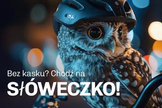 Podlaskie zwierzaki ponownie zachęcają do noszenia kasku