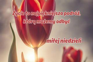 dzień dobry w niedzielę - kartka