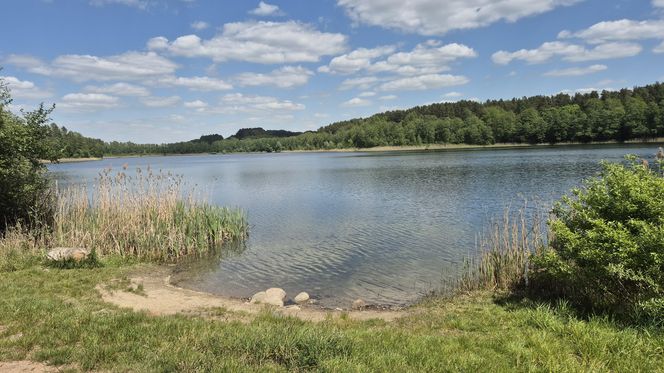 To jezioro w Olsztynie ma niezwykle czystą wodę. Jest kilka dzikich plaż, które świecą pustkami