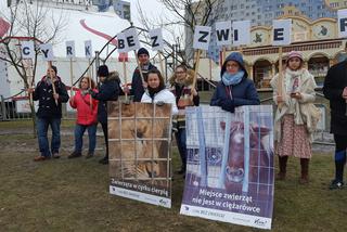 Łódź nie robi cyrku ze zwierząt. Aktywiści protestowali przed cyrkiem na Retkini