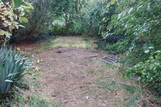 ​Pokłócił się z rodzicem, zamieszkał w namiocie w Gostyniu