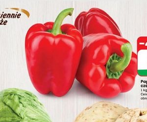 Nowe promocje w Dino