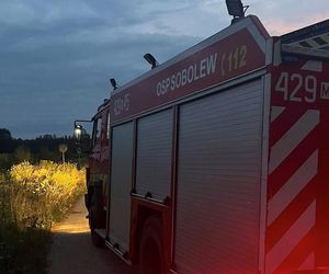 Zwęglone zwłoki w audi 