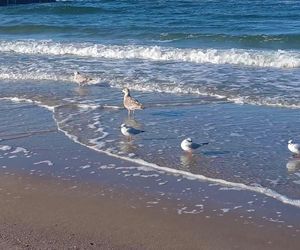 Kołobrzeg po sezonie