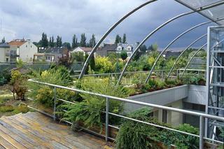 Ogród na dachu. Budowa ogrodu na dachu płaskim - konstrukcja, izolacja, odprowadzanie wody